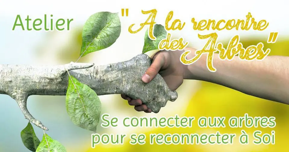 A la rencontre des arbres