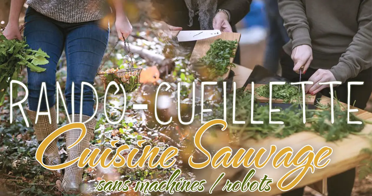 Rando-Cueillette / Cuisine Sauvage